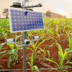 Climate-Smart Farming: How Graduates Can Lead the Change